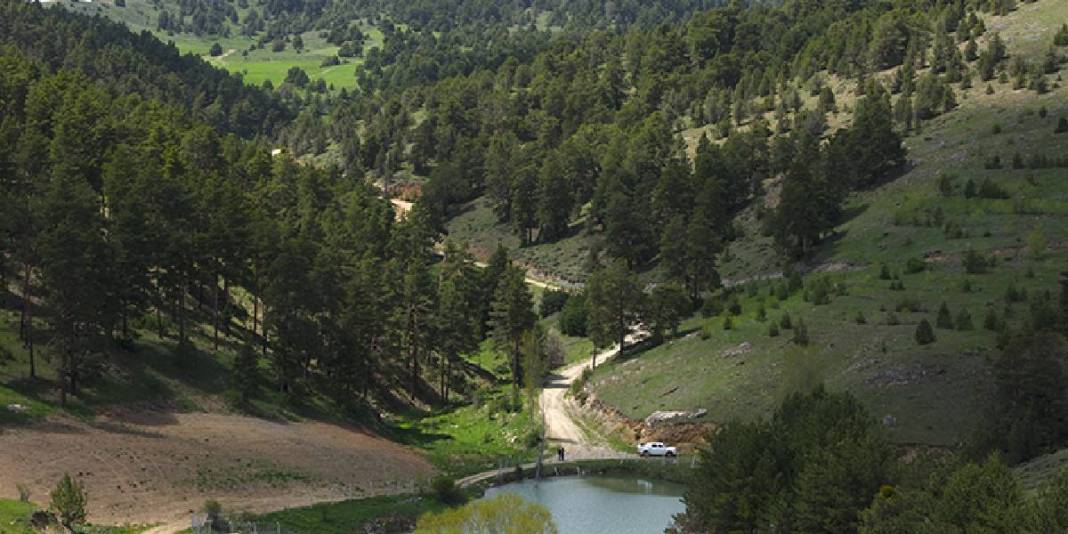 Gören Karadeniz sanıyor ama burası İç Anadolu! 1800 rakımda saklı cennet: Çerçialan göleti göreni büyülüyor! 3
